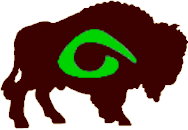 Buffalo Comhaltas logo